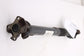 2015-23 Toyota Tacoma SR5 4WD Double Cab Front Drive Propeller Shaft 37140-040725