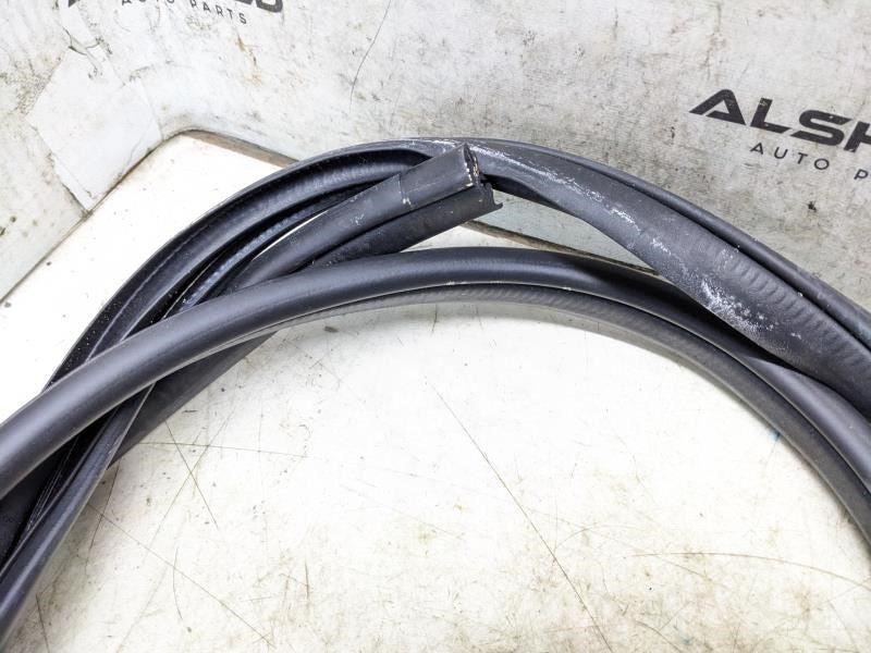 2019-2023 Subaru Forester Rear Left Door Weatherstrip On Body 63572SJ010 OEM - Alshned Auto Parts