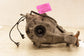 2015-24 Infiniti Q50 Premium 3.0L RWD Rear Differential Carrier 2.937 ratio 148K - Alshned Auto Parts