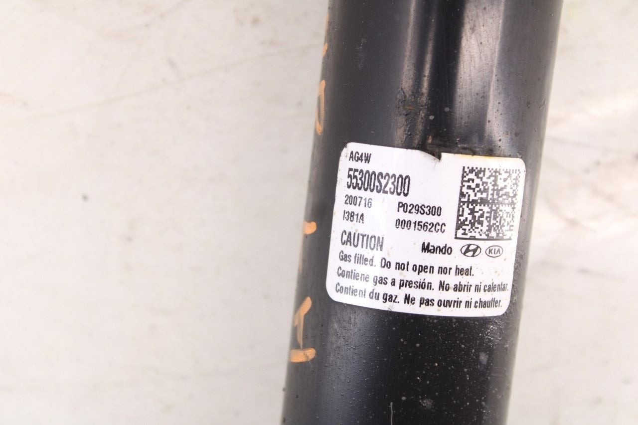 2019-20 Hyundai Santa Fe SEL 2.4L AWD Rear Left Driver Side Shock Strut Absorber - Alshned Auto Parts