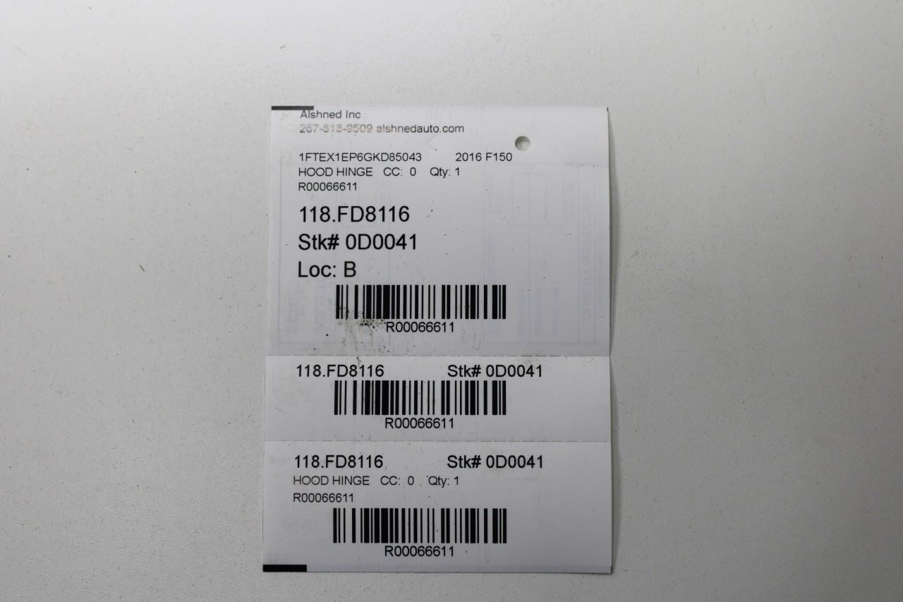 2015-20 Ford F150 Super Cab Lariat Front RH and LH Hood Hinge Set w/ Lift Struts - Alshned Auto Parts