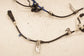 2023-26 Acura Integra A-Spec Rear LH and RH ABS Wheel Speed Sensor Wire Harness - Alshned Auto Parts