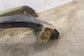 2011-2018 Ram 1500 Crew Cab Laramie Front Right Side Frame Rail Fender Closure - Alshned Auto Parts