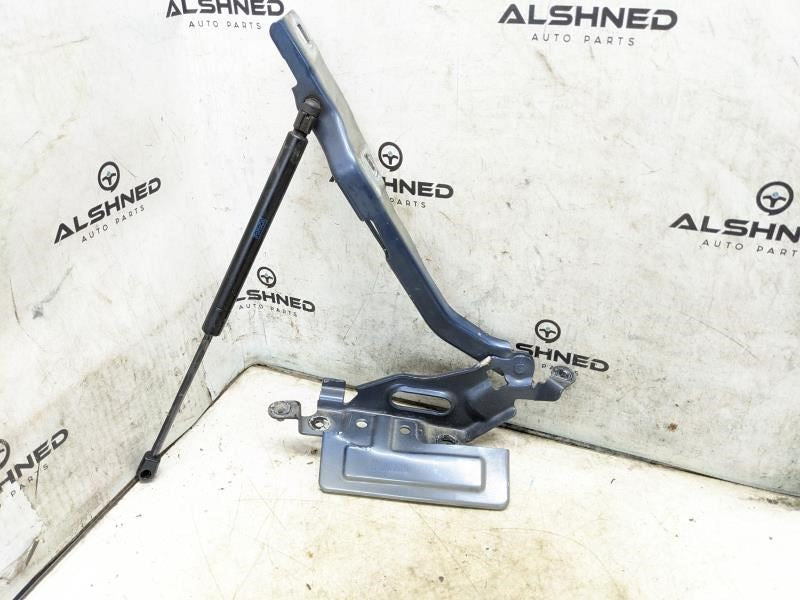 18-23 Ford Expedition Hood Hinges w Lift Cylinder Shocks JL1Z-16796-A OEM *ReaD* - Alshned Auto Parts