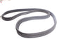 2015-2025 Ford Mustang GT Coupe Trunk Deck Lid Weatherstrip Seal FR3Z-6343720-A - Alshned Auto Parts