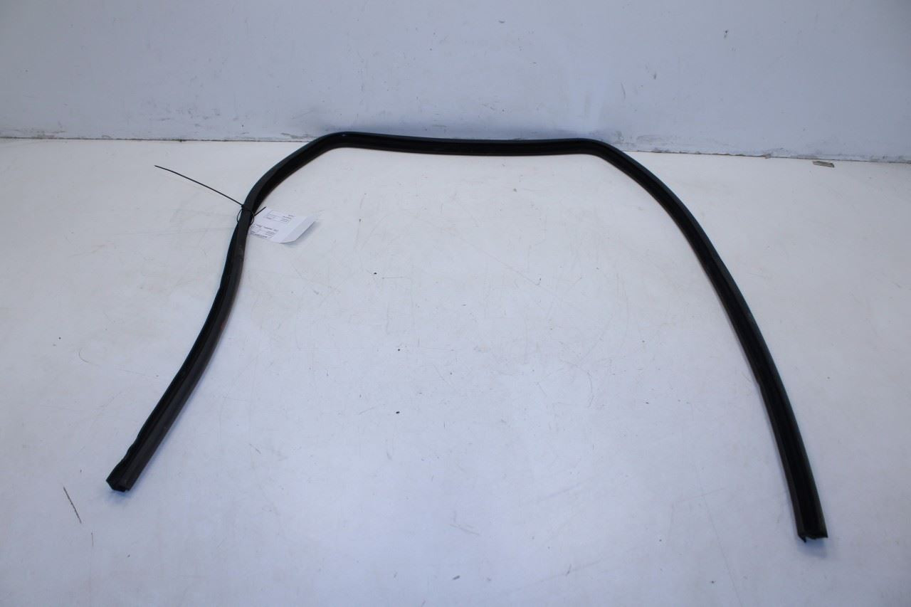 1999-16 Ford F250 Lariat Crew Cab Rear Left Door Run Channel w/ Weatherstrip Set - Alshned Auto Parts