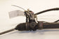11-18 Porsche Cayenne Platinum Power Steering Gear Rack and Pinion 7P5-422-055-N - Alshned Auto Parts