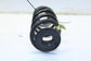 18-24 Chevrolet Equinox LT AWD Rear RH and LH Side Coil Spring Pair 23476248 OEM - Alshned Auto Parts