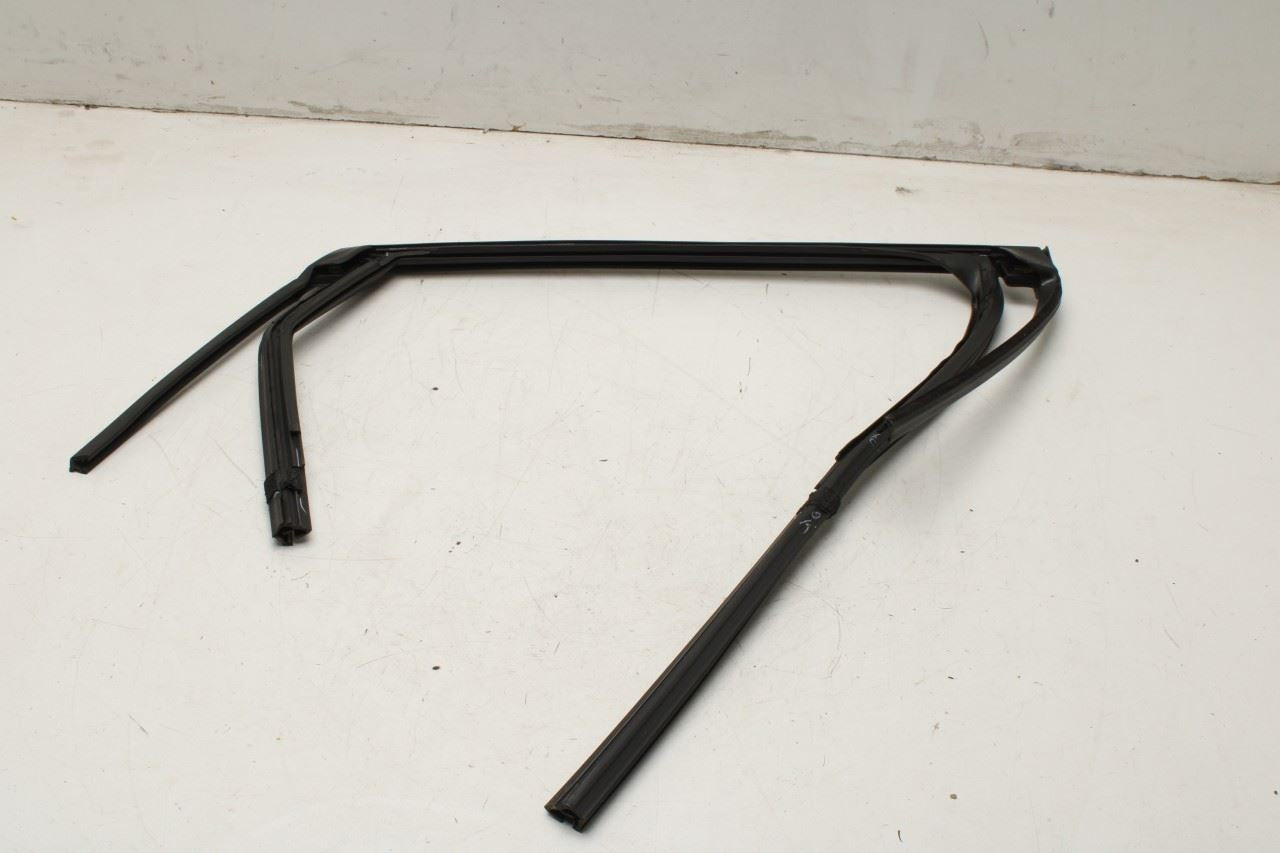 20-25 Ford Escape Rear Left Door Run Channel w Belt Weatherstrips LJ6Z-7825767-D - Alshned Auto Parts