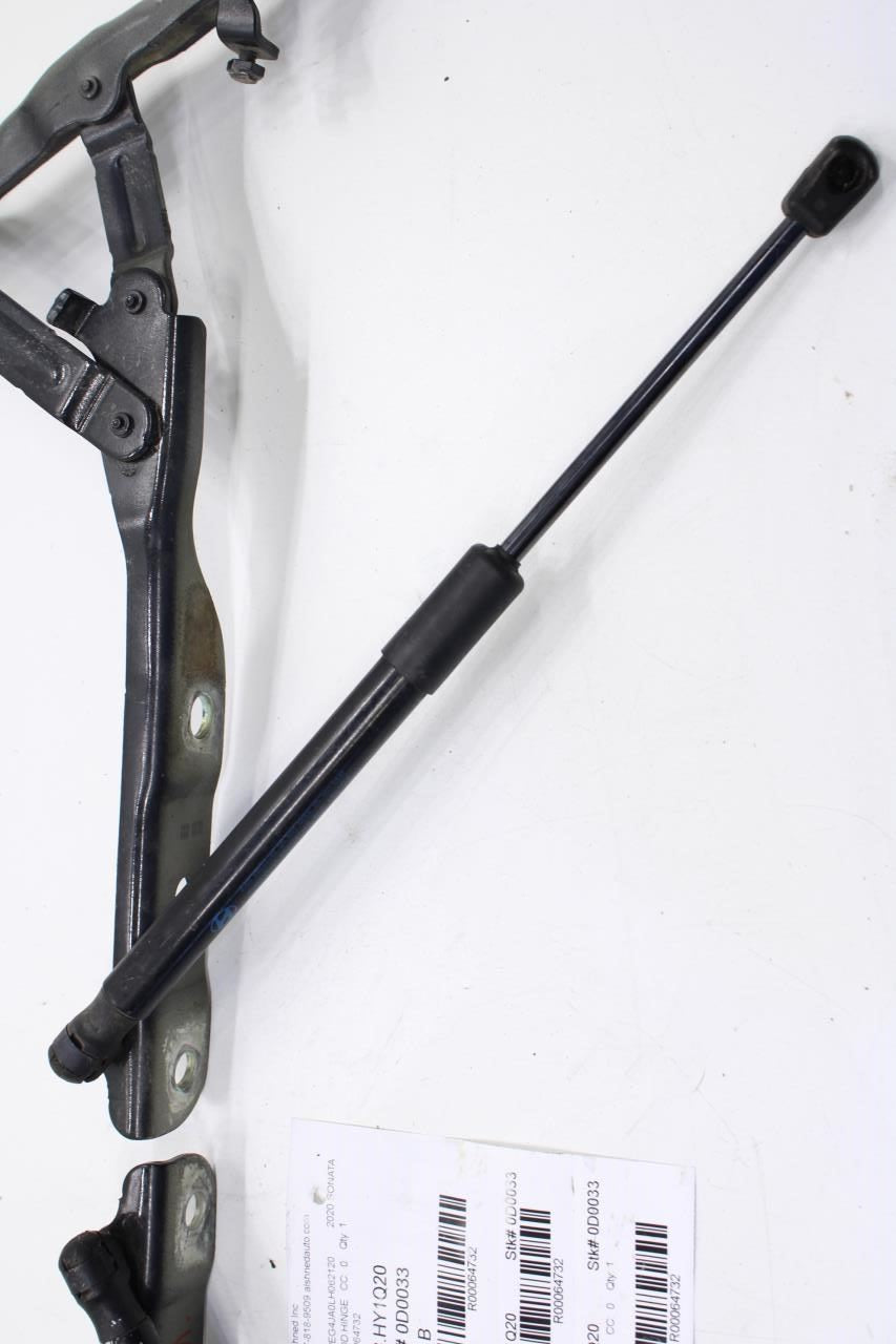 2020-2022 Hyundai Sonata SE Front Right and Left Hood Hinge w/ Lift Cylinder Set - Alshned Auto Parts