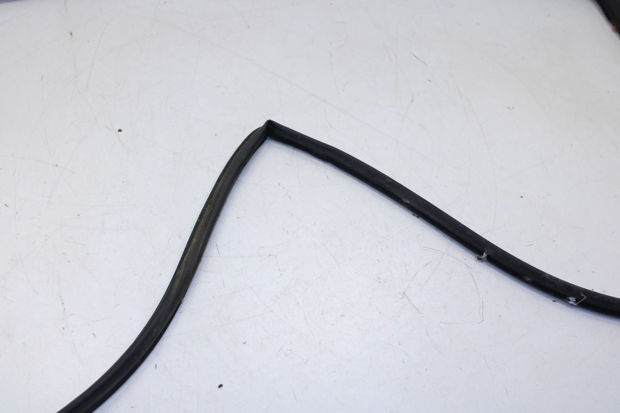 2016-20 Hyundai Elantra Rear Right Door Run Channel w/ Belt Molding Weatherstrip - Alshned Auto Parts
