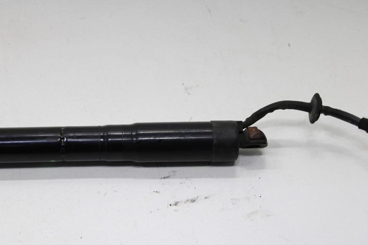10-16 Porsche Panamera 4 Rear Power Trunk Lid Shock Lift Cylinder Set RH and LH - Alshned Auto Parts
