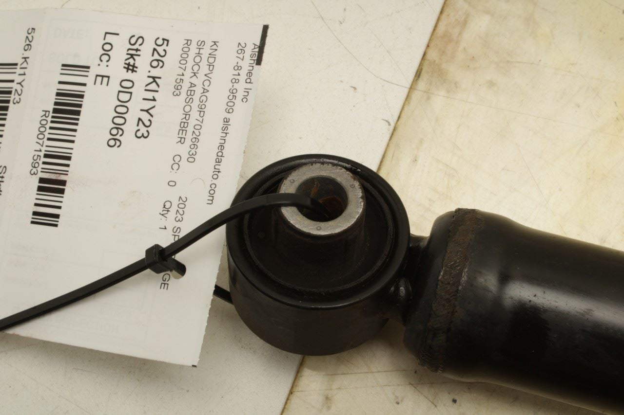 23-2025 Kia Sportage Hybrid EX 1.6L Rear Right Shock Strut Absorber 55300-CH210 - Alshned Auto Parts