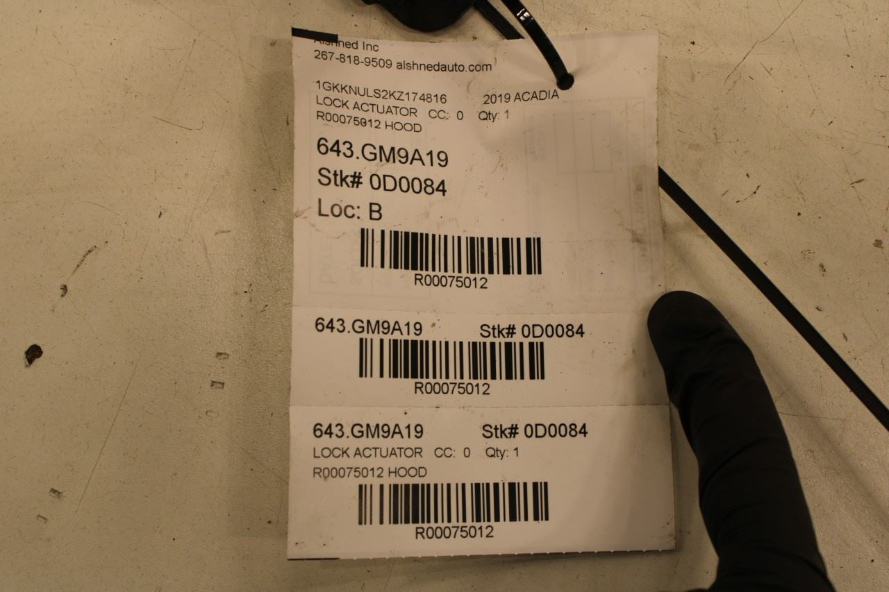 2019 GMC Acadia SLT-1 Front Hood Lock Latch Actuator 84244302 OEM - Alshned Auto Parts