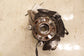 22-25 Hyundai Tucson SEL Front Left Driver Side Spindle Knuckle Hub 51710-N9200 - Alshned Auto Parts