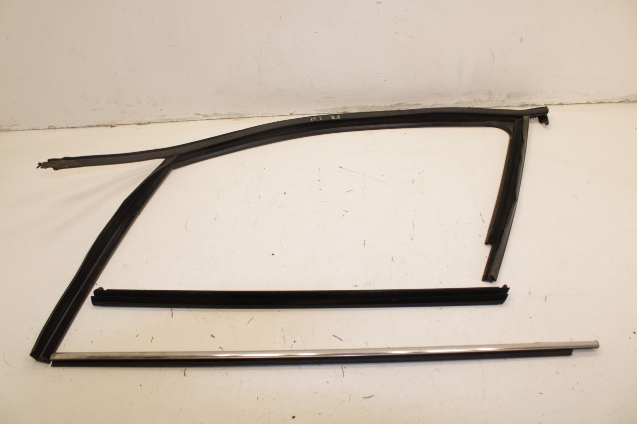 2018 Volkswagen Atlas S FR LH Door Run Channel w/ Belt Molding and Weatherstrip - Alshned Auto Parts