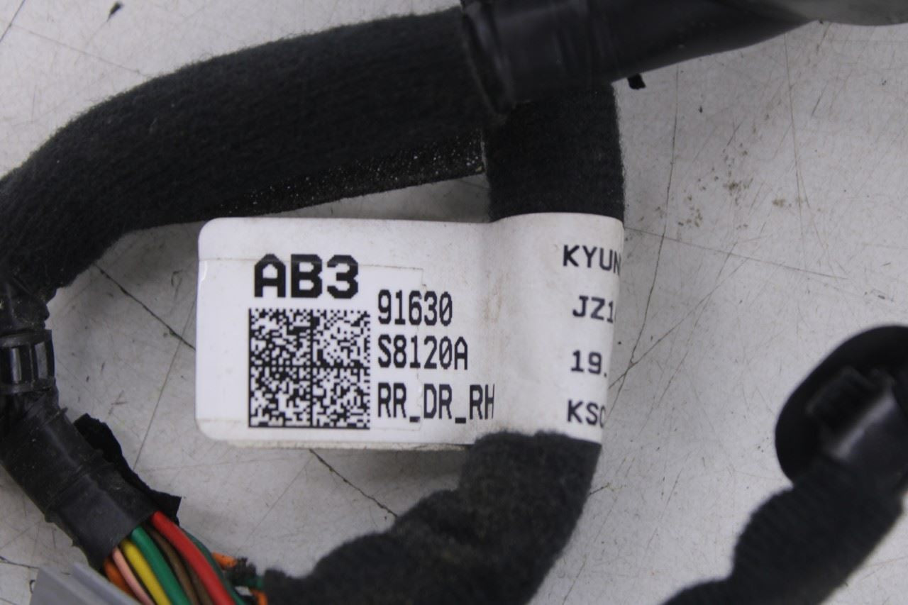 20-26 Hyundai Palisade Limited AWD Rear Right Side Door Wire Harness 91630-S8120 - Alshned Auto Parts