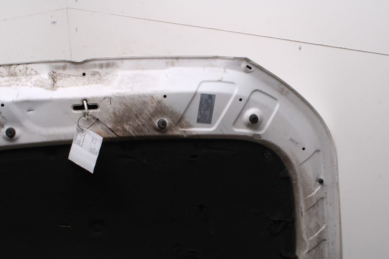 2020-2026 Hyundai Palisade Limited AWD Front Hood Bonnet Shell Panel *ReaD* - Alshned Auto Parts