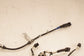 2023-26 Acura Integra A-Spec Rear LH and RH ABS Wheel Speed Sensor Wire Harness - Alshned Auto Parts