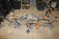11-16 Ford F-250 Lariat 6.2L 4WD Rear Axle Differential Electronic Lock 3.73 rat - Alshned Auto Parts
