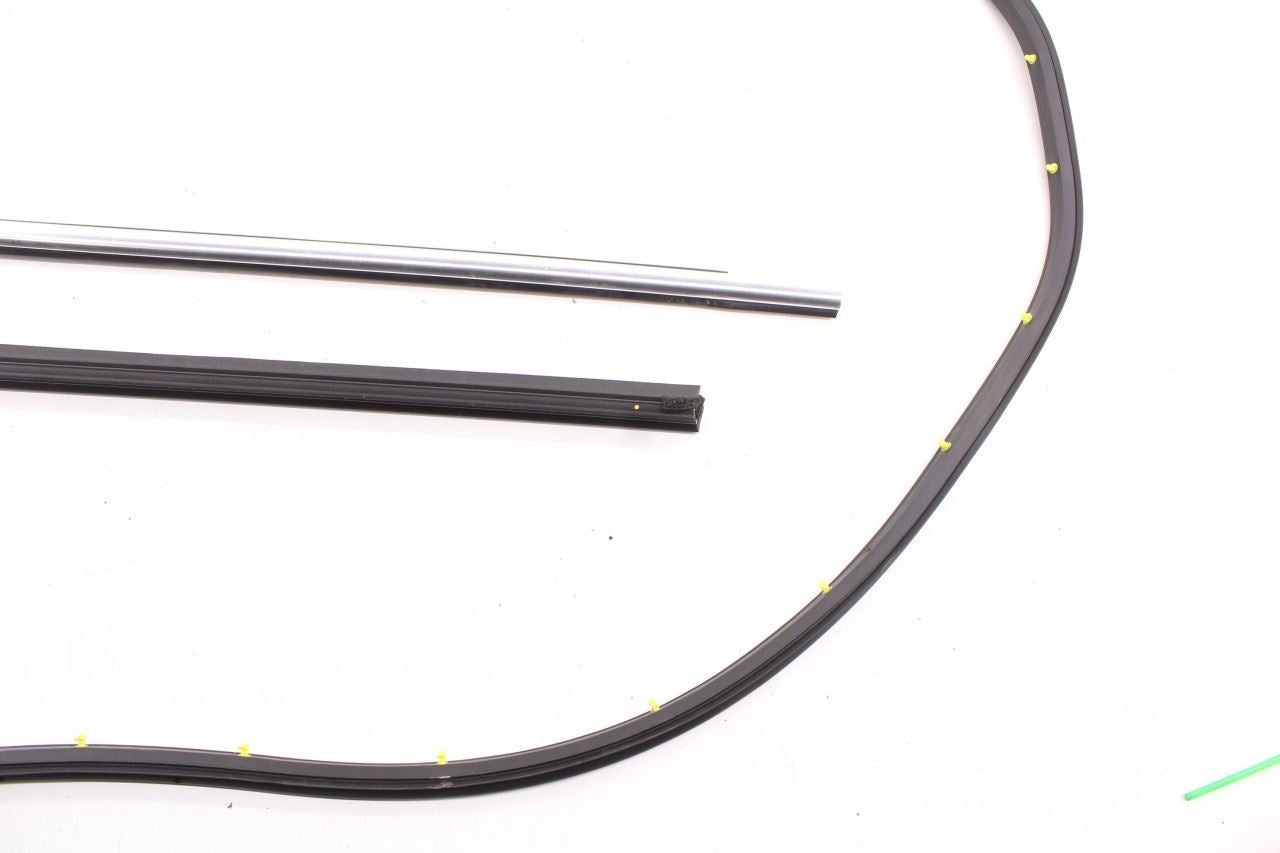 2019-2025 Infiniti QX50 LUXE Rear Left Door Weatherstrip with Belt Molding Set - Alshned Auto Parts