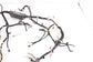2016-2018 Toyota Sienna LE Dash Instrument Panel Wire Harness 82141-08F91 OEM - Alshned Auto Parts