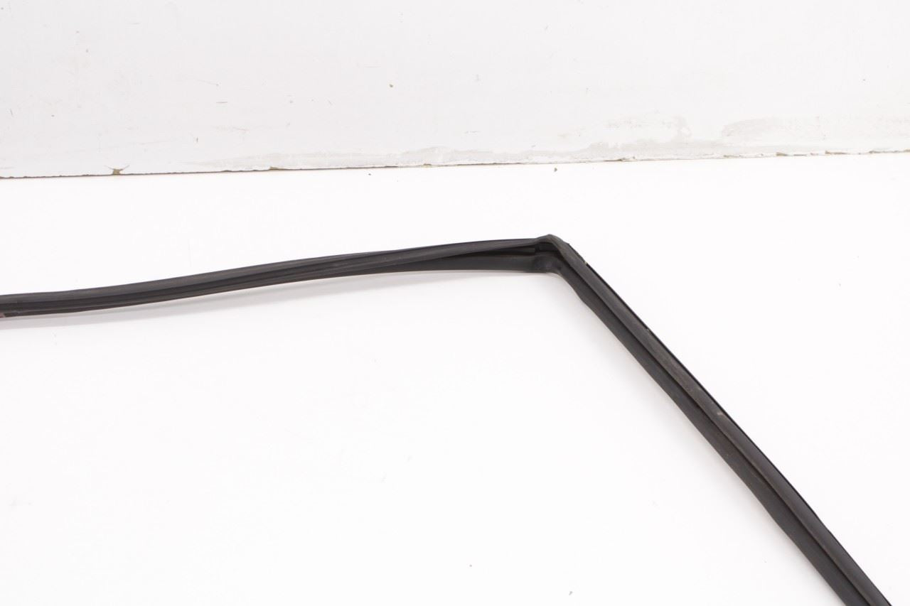 2016-2019 Nissan Sentra SL Front Right Door Run Channel with Belt Outer Molding - Alshned Auto Parts