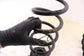 2021-2025 Infiniti QX50 LUXE Rear Right and Left Side Suspension Coil Spring Set - Alshned Auto Parts
