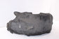 2015-2023 Ford Mustang Conv V6 Rear Right Side Wheelhouse Liner Splash Shield11