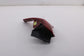 2021-2023 Hyundai Santa Fe SEL Rear Right Side Tail Light Lamp 92402-S2500 OEM7