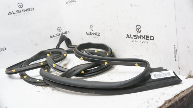 2019 Ford F150 Passenger Right Rear Door Weatherstrip Seal FL34-1625324-A OEM - Alshned Auto Parts