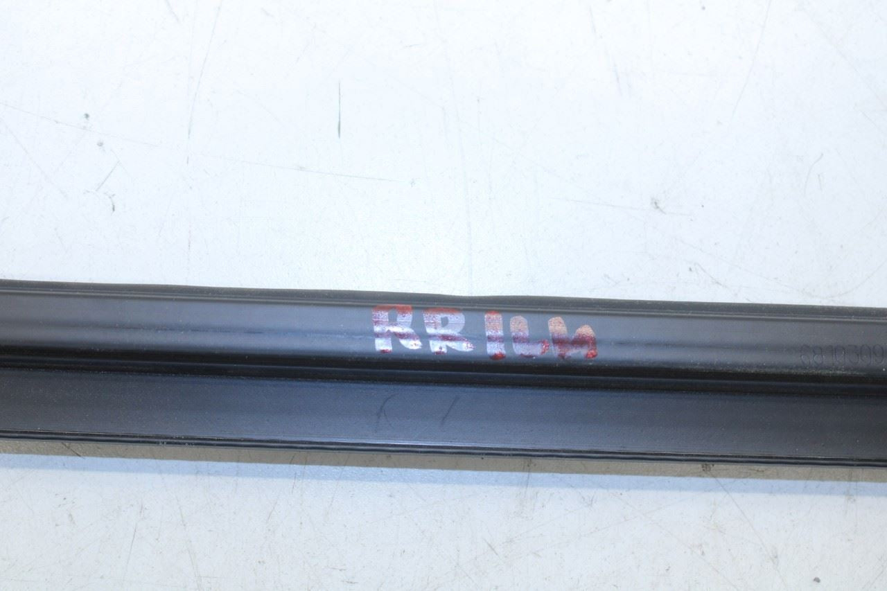 2014-2023 Jeep Cherokee Rear Left Door Run Channel w/ Belt Molding Weatherstrip - Alshned Auto Parts