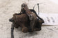 2016-2020 KIA Optima EX Rear Left Driver Side Brake Disc Caliper 58310-C1A15 OEM - Alshned Auto Parts