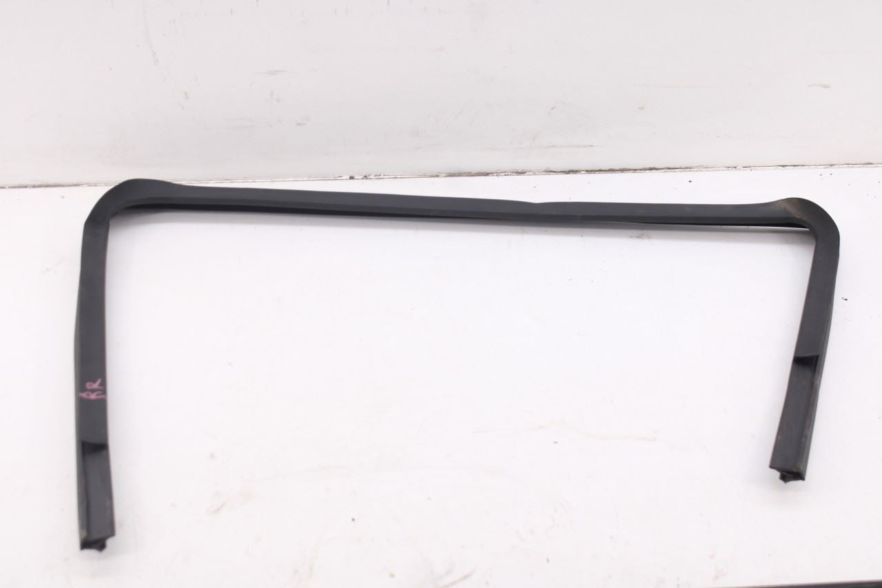 2010-20 Dodge Grand Caravan SXT Rear Right Door Window Run Channel Trim Belt Set6