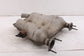 2013-2021 Jeep Grand Cherokee Laredo X 4x4 3.6L Exhaust Center Middle Muffler - Alshned Auto Parts