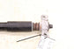 2017-2020 Lincoln MKZ Reserve 2L AWD Rear Left Driver Side Shock Strut Absorber - Alshned Auto Parts