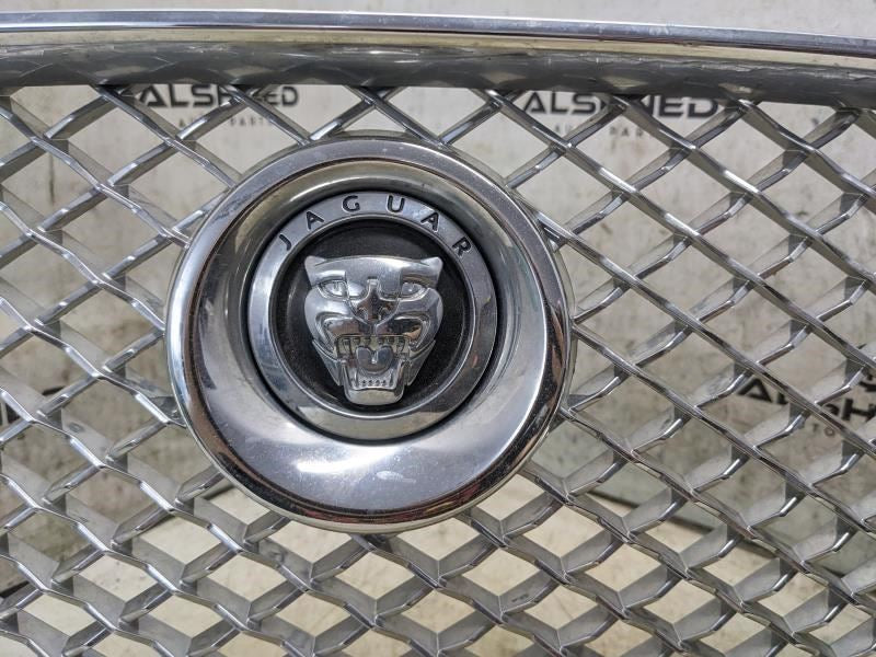 2010-2015 Jaguar XJ Front Bumper Upper Center Grille AW93-018K28-AA OEM