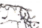 2012-2015 Jeep Wrangler Unlimited Sport 3.6L Engine Wire Harness 68081220AF OEM - Alshned Auto Parts