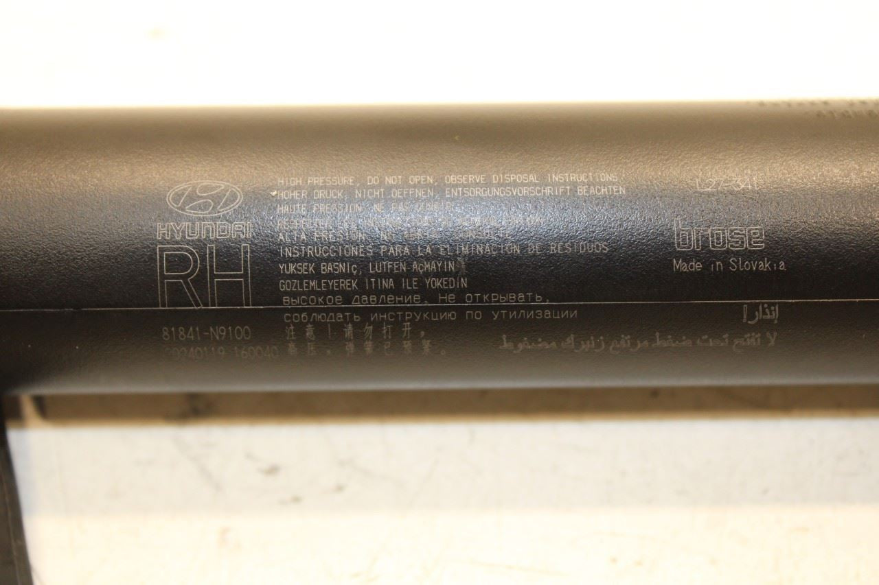 22-25 Hyundai Tucson SEL Rear RH and LH Tailgate Trunk Support Cylinder Strut - Alshned Auto Parts