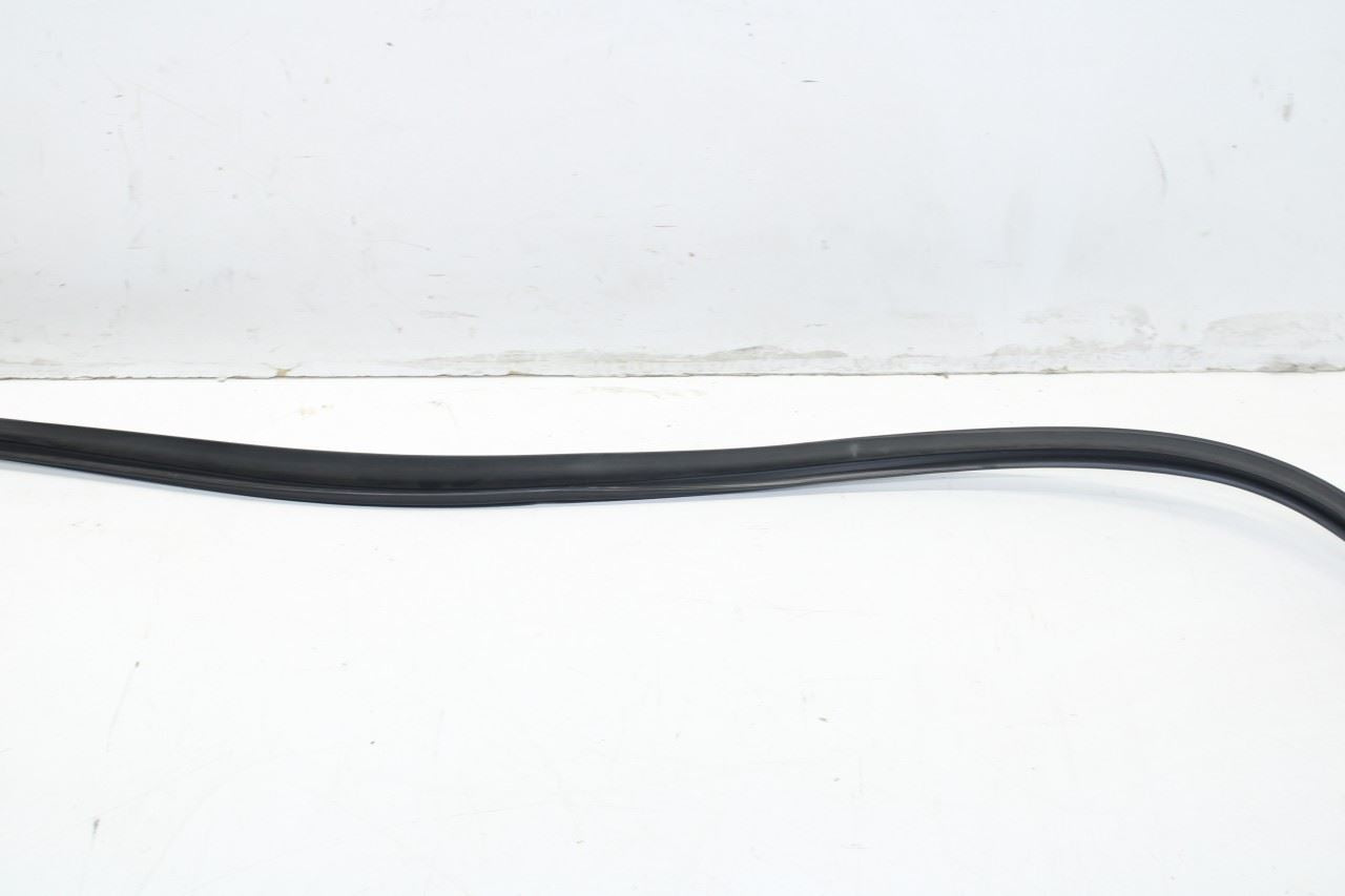 2013-2020 Lexus GS350 Front Left Door Window Run Channel with Belt Outer Molding - Alshned Auto Parts