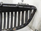 2008-2012 Buick Enclave Front Bumper Upper Radiator Grille 20828544 OEM - Alshned Auto Parts