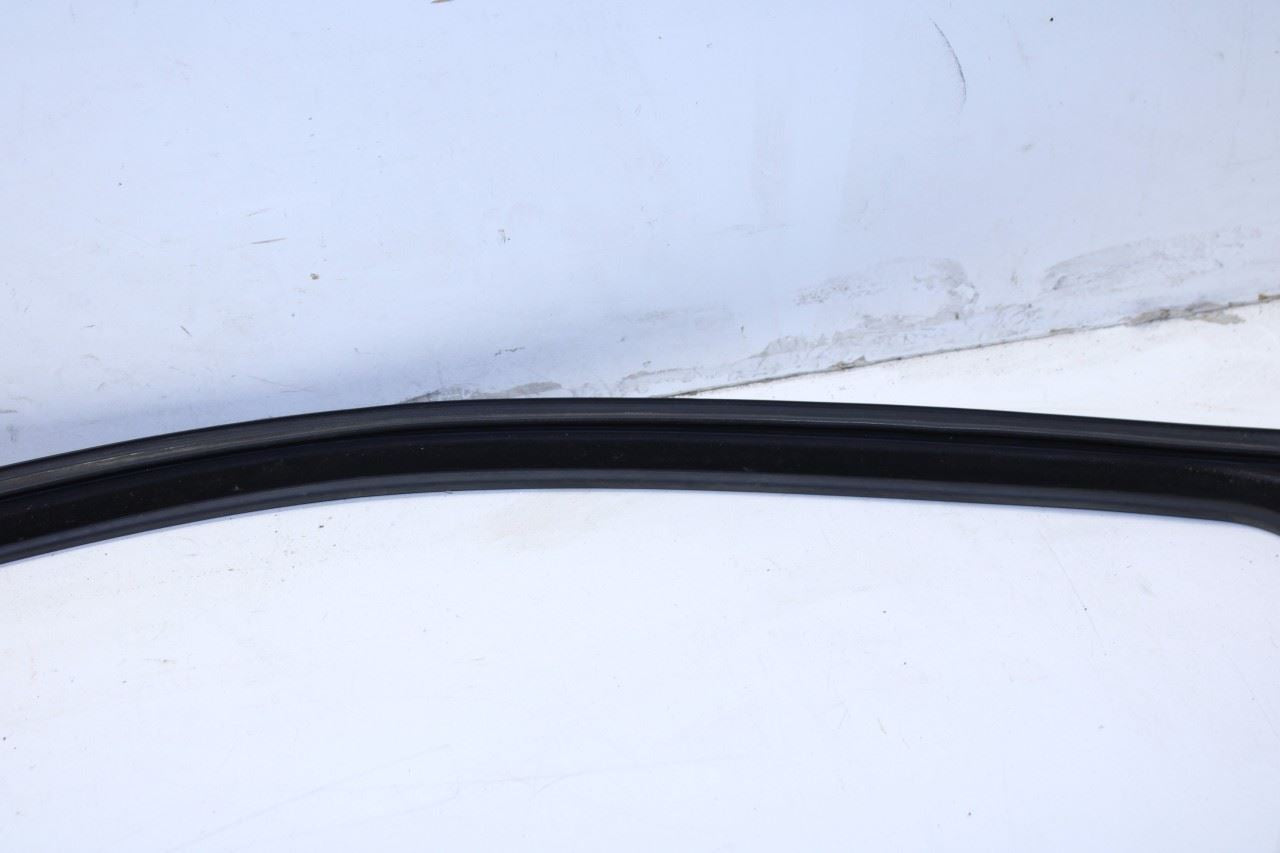 11-18 Ram 1500 Crew Cab Laramie Front Left Door Run Channel w/ Belt Weatherstrip - Alshned Auto Parts