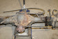 2013-2018 Ram 1500 5.7L 4WD Rear Differential Carrier Anti-Spin 3.21 ratio 117K - Alshned Auto Parts