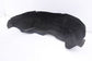 2014-2020 Infiniti QX60 Rear Right Passenger Side Wheelhouse Liner Splash Shield3