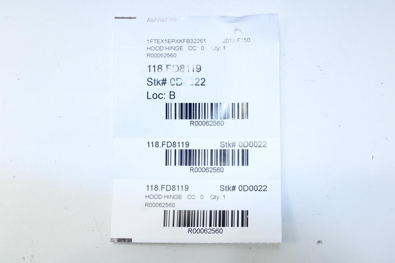 2015-2020 Ford F150 XL Front RH and LH Hood Hinge w/ Lift Strut FL34-16801-A OEM - Alshned Auto Parts