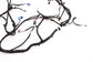 2022-2025 BMW 430i Gran Coupe xDrive Dash Instrument Panel Wire Harness 5A5F158 - Alshned Auto Parts