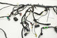 2015-17 Ford F150 SuperCab Dash Instrument Panel Wire Harness GL3T-19C181-AB OEM - Alshned Auto Parts