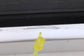 20-22 Hyundai Palisade Limited AWD Trunk Retractable Parcel Shelf 85940S8000NNB - Alshned Auto Parts