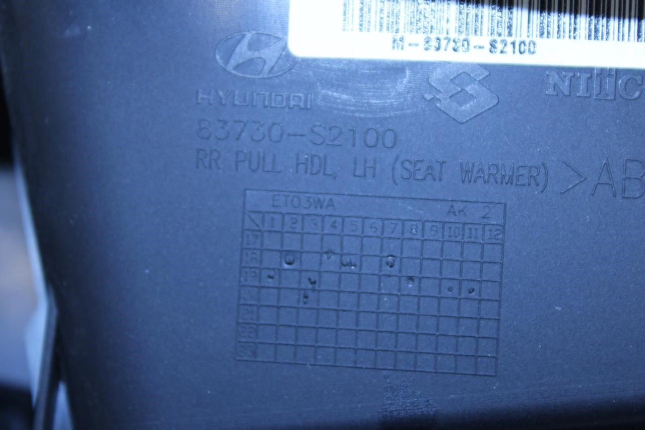 19-20 Hyundai Santa Fe Limited Rear Left Driver Door Trim Panel 83301-S2540-NNB - Alshned Auto Parts