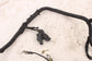 21-24 Ford F150 XLT Supercrew 5.0L Starter Motor Wire Harness ML3T-3C221-EJ OEM4